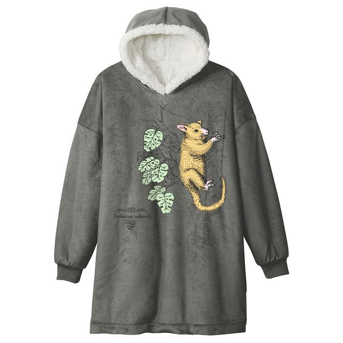 Common Brushtail Possum Trichosurus Vulpecula Engraved Hooded Wearable Blanket