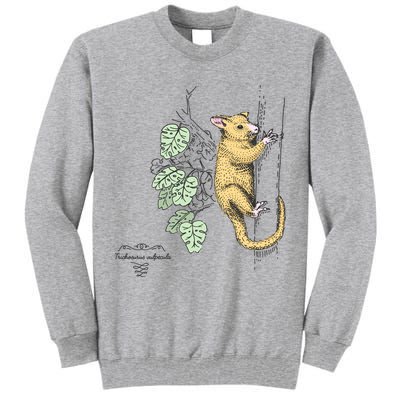 Common Brushtail Possum Trichosurus Vulpecula Engraved Tall Sweatshirt
