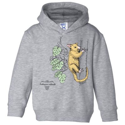 Common Brushtail Possum Trichosurus Vulpecula Engraved Toddler Hoodie