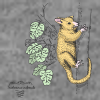 Common Brushtail Possum Trichosurus Vulpecula Engraved Toddler Hoodie