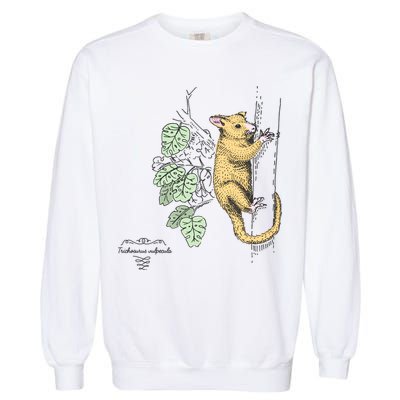 Common Brushtail Possum Trichosurus Vulpecula Engraved Garment-Dyed Sweatshirt