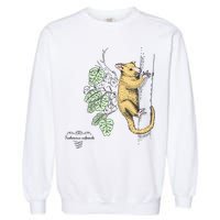 Common Brushtail Possum Trichosurus Vulpecula Engraved Garment-Dyed Sweatshirt