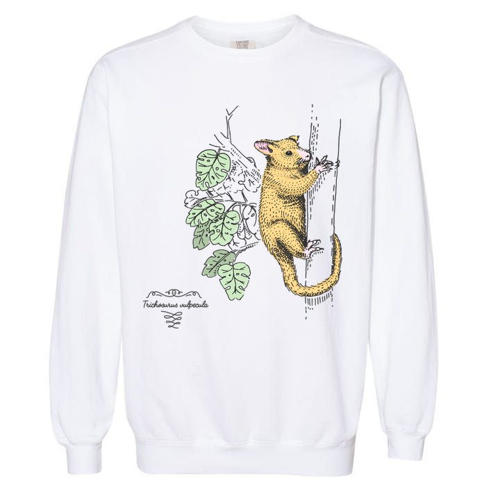 Common Brushtail Possum Trichosurus Vulpecula Engraved Garment-Dyed Sweatshirt