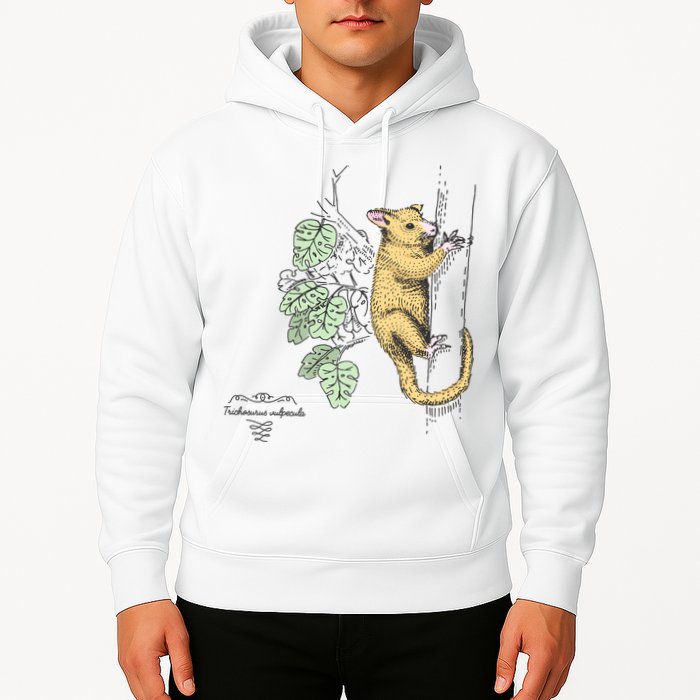Common Brushtail Possum Trichosurus Vulpecula Engraved Hoodie
