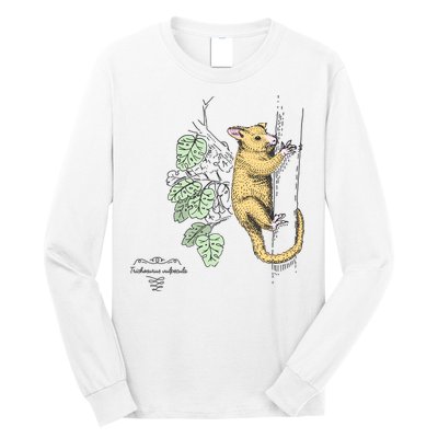 Common Brushtail Possum Trichosurus Vulpecula Engraved Long Sleeve Shirt