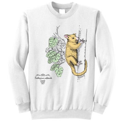 Common Brushtail Possum Trichosurus Vulpecula Engraved Sweatshirt