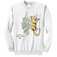 Common Brushtail Possum Trichosurus Vulpecula Engraved Sweatshirt