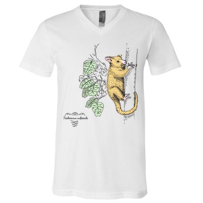 Common Brushtail Possum Trichosurus Vulpecula Engraved V-Neck T-Shirt