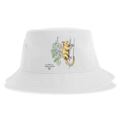 Common Brushtail Possum Trichosurus Vulpecula Engraved Sustainable Bucket Hat