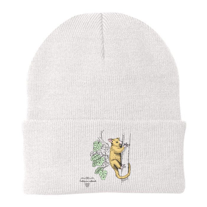 Common Brushtail Possum Trichosurus Vulpecula Engraved Beanie