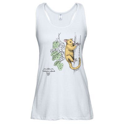 Common Brushtail Possum Trichosurus Vulpecula Engraved Ladies Essential Flowy Tank