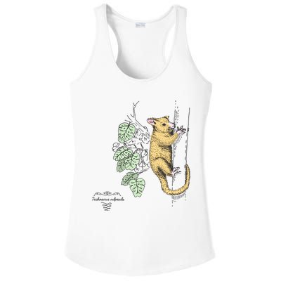 Common Brushtail Possum Trichosurus Vulpecula Engraved Ladies PosiCharge Competitor Racerback Tank