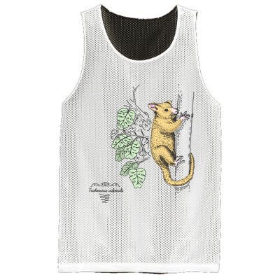 Common Brushtail Possum Trichosurus Vulpecula Engraved Mesh Reversible Basketball Jersey Tank
