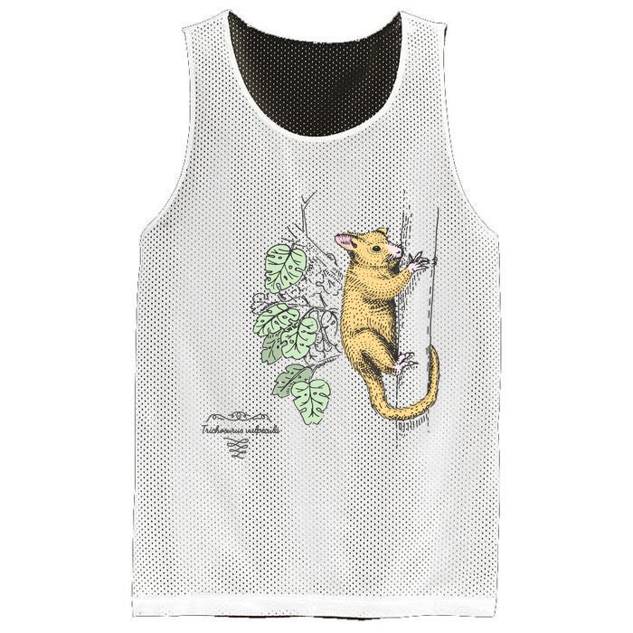 Common Brushtail Possum Trichosurus Vulpecula Engraved Mesh Reversible Basketball Jersey Tank