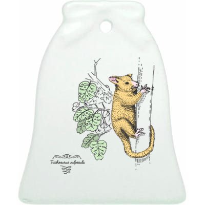 Common Brushtail Possum Trichosurus Vulpecula Engraved Ceramic Bell Ornament