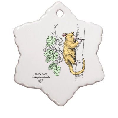 Common Brushtail Possum Trichosurus Vulpecula Engraved Ceramic Star Ornament