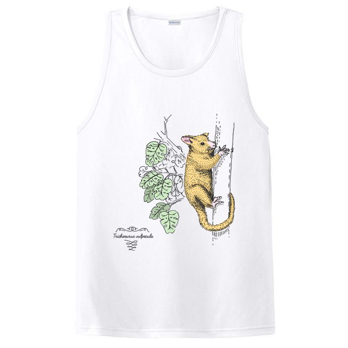 Common Brushtail Possum Trichosurus Vulpecula Engraved PosiCharge Competitor Tank