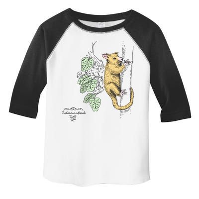 Common Brushtail Possum Trichosurus Vulpecula Engraved Toddler Fine Jersey T-Shirt