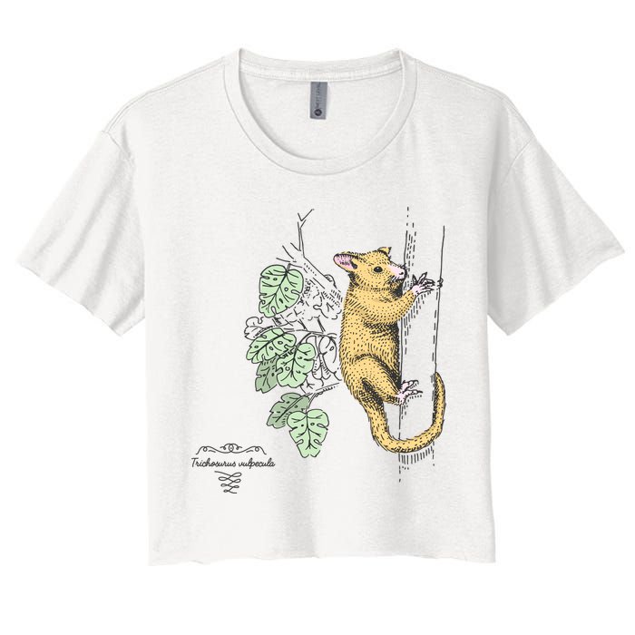 Common Brushtail Possum Trichosurus Vulpecula Engraved Crop Top