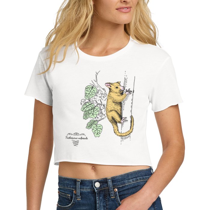 Common Brushtail Possum Trichosurus Vulpecula Engraved Crop Top