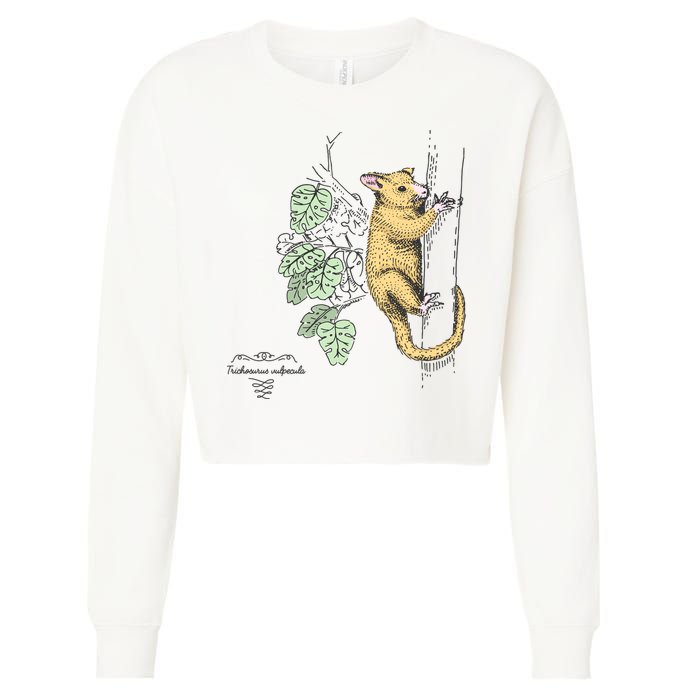 Common Brushtail Possum Trichosurus Vulpecula Engraved Cropped Pullover Crew