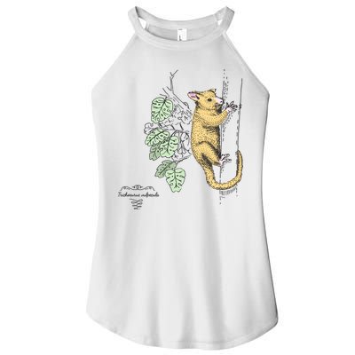 Common Brushtail Possum Trichosurus Vulpecula Engraved Women's Perfect Tri Rocker Tank