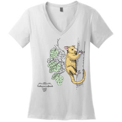 Common Brushtail Possum Trichosurus Vulpecula Engraved Women's V-Neck T-Shirt