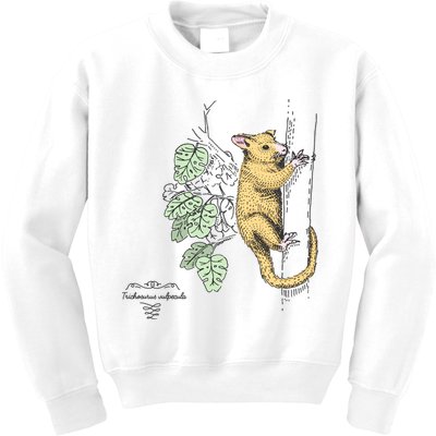 Common Brushtail Possum Trichosurus Vulpecula Engraved Kids Sweatshirt
