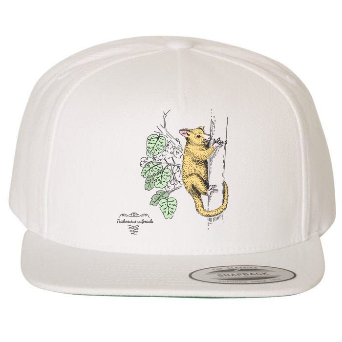 Common Brushtail Possum Trichosurus Vulpecula Engraved Wool Snapback Cap