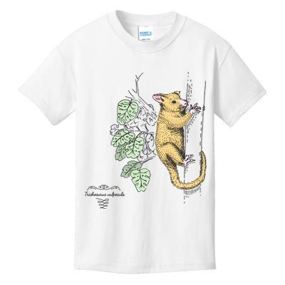 Common Brushtail Possum Trichosurus Vulpecula Engraved Kids T-Shirt