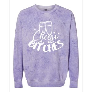 Cheers Bitches Party Bachelorette Party Matching Funny Gift Colorblast Crewneck Sweatshirt