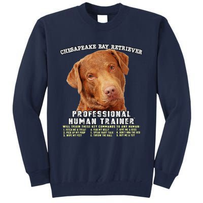 Chesapeake Bay Retriever Professional Human Trainer Cute Dog Tall Sweatshirt