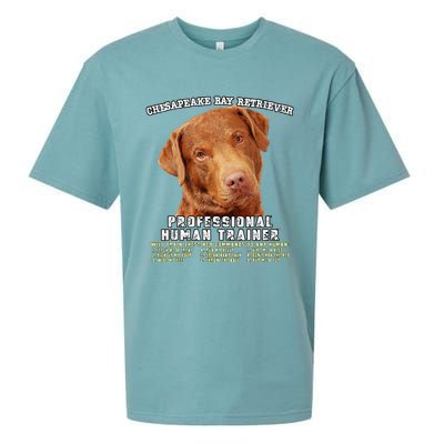 Chesapeake Bay Retriever Professional Human Trainer Cute Dog Sueded Cloud Jersey T-Shirt