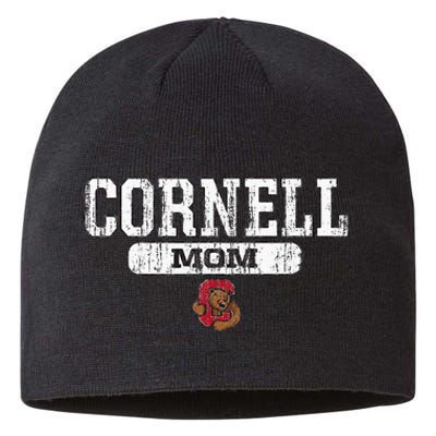 Cornell Big Red Mom Block Pill Icon Sustainable Beanie