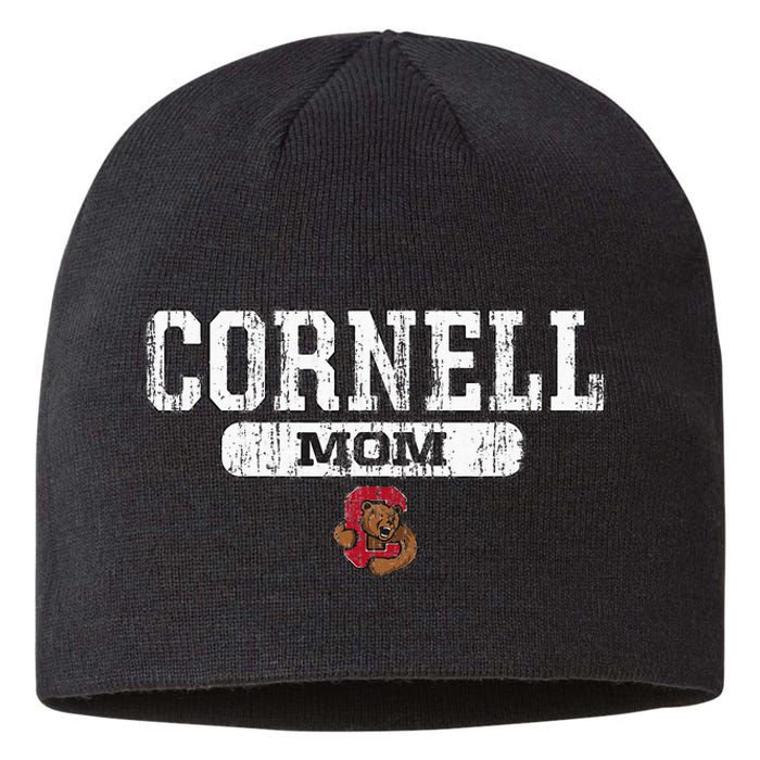 Cornell Big Red Mom Block Pill Icon Sustainable Beanie