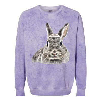 Cool Bunny Rabbit Graphic Great Funny Easter Gift Colorblast Crewneck Sweatshirt