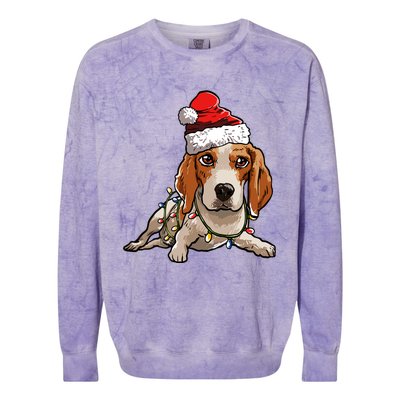 Cute Beagle Santa Christmas Tree Lights Xmas Cool Gift Colorblast Crewneck Sweatshirt