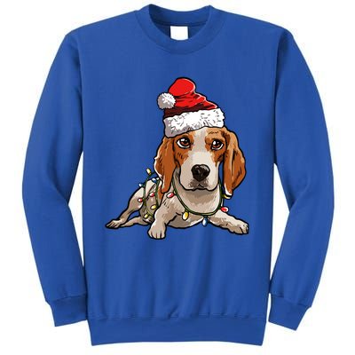 Cute Beagle Santa Christmas Tree Lights Xmas Cool Gift Sweatshirt