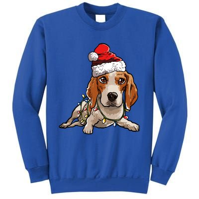 Cute Beagle Santa Christmas Tree Lights Xmas Cool Gift Tall Sweatshirt