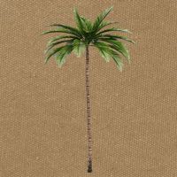 Cool Beach Summer Vacation Tropical Palm Tree Cotton Canvas Backpack
