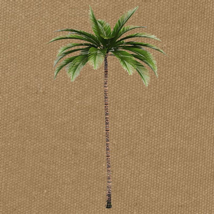 Cool Beach Summer Vacation Tropical Palm Tree Cotton Canvas Backpack
