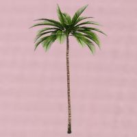 Cool Beach Summer Vacation Tropical Palm Tree 25L Jumbo Tote