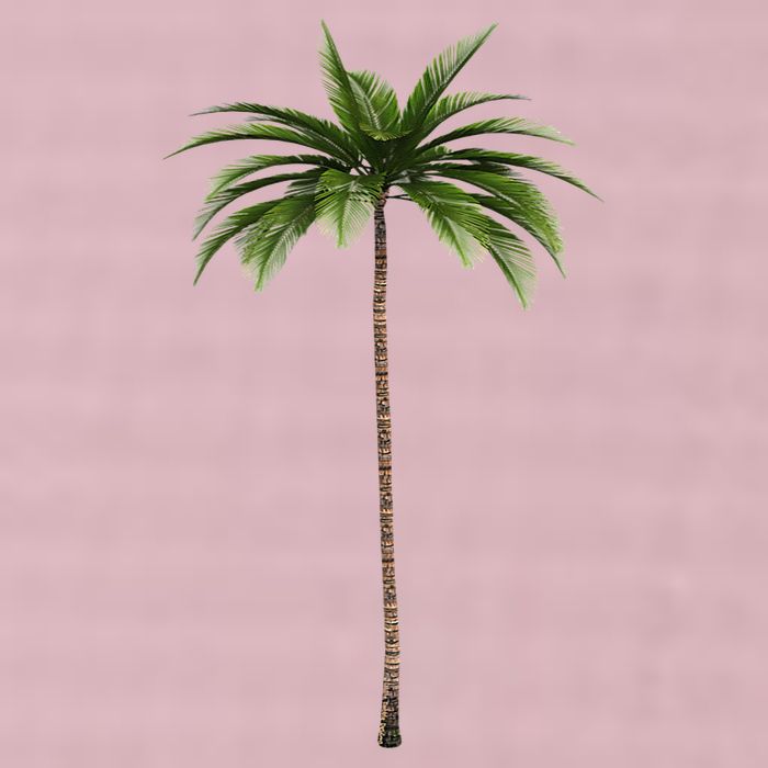 Cool Beach Summer Vacation Tropical Palm Tree 25L Jumbo Tote