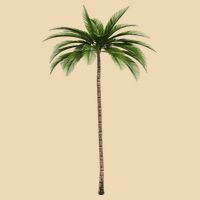 Cool Beach Summer Vacation Tropical Palm Tree Drawstring Bag