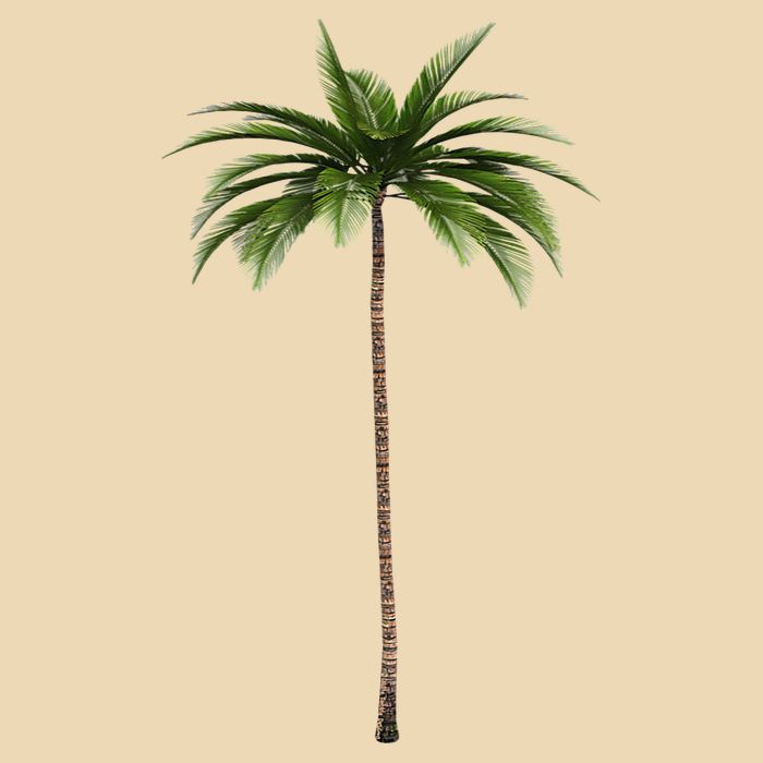 Cool Beach Summer Vacation Tropical Palm Tree Bag