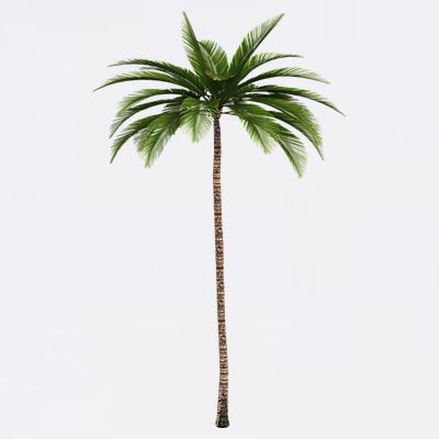 Cool Beach Summer Vacation Tropical Palm Tree T-Shirt
