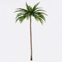 Cool Beach Summer Vacation Tropical Palm Tree T-Shirt