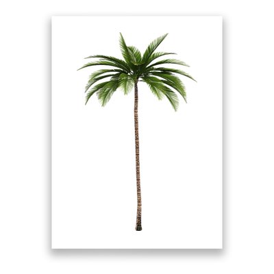 Cool Beach Summer Vacation Tropical Palm Tree Poster