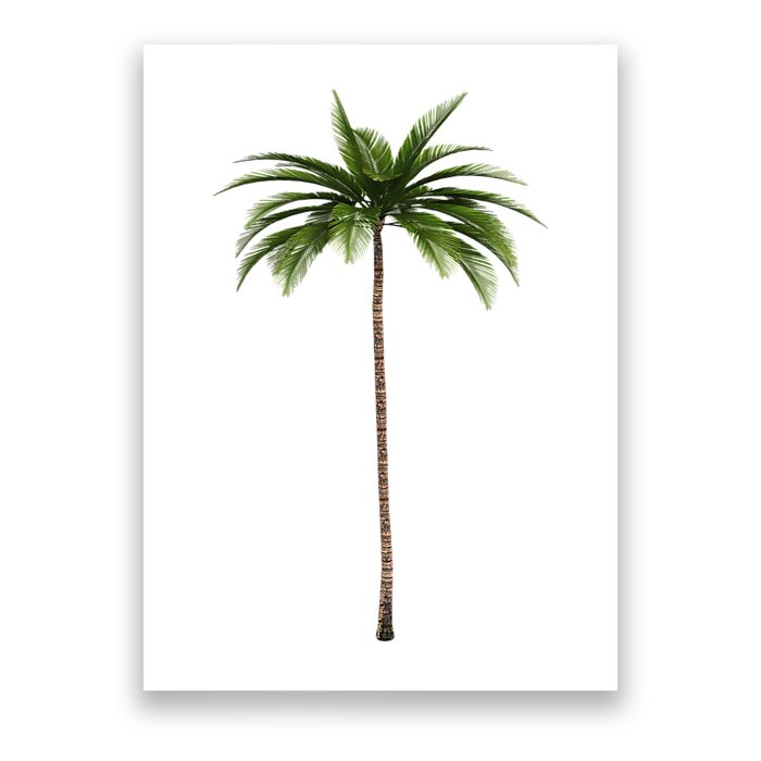 Cool Beach Summer Vacation Tropical Palm Tree Poster