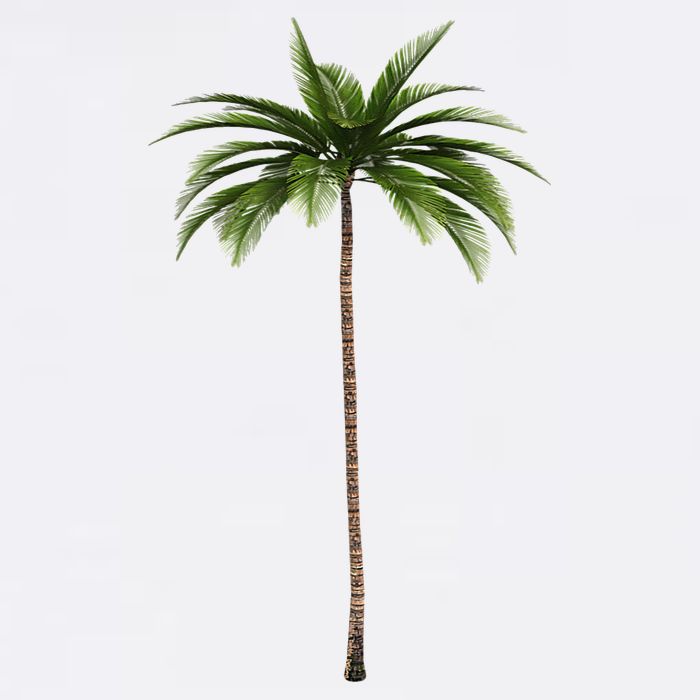 Cool Beach Summer Vacation Tropical Palm Tree Baby Bodysuit